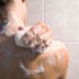 7 Reasons You Can Probably Get Away With Showering Less