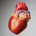 8 Ways to Keep Your Heart Valves Healthy