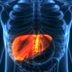 Here's What Happens to Your Liver When You Quit Drinking Alcohol