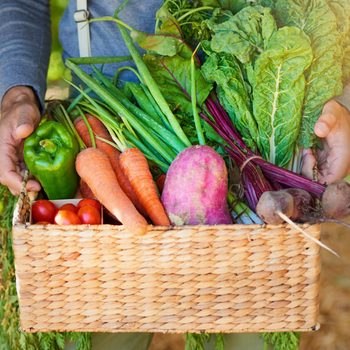 man carrying a basket of fresh vegetables from the garden